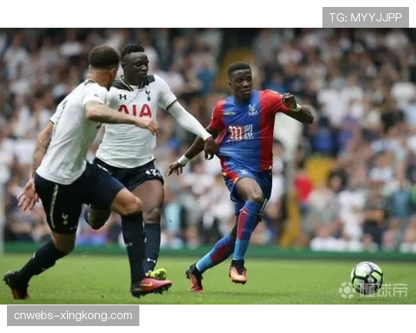 幕后调查:拳手经纪人高额抽成比例的行业惯例与潜在问题